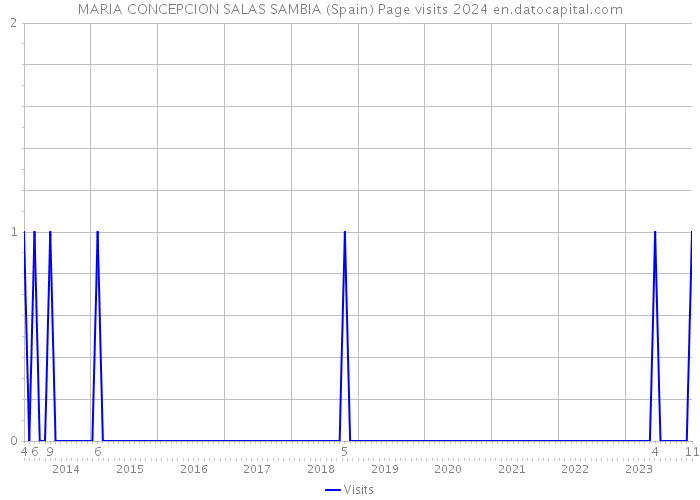MARIA CONCEPCION SALAS SAMBIA (Spain) Page visits 2024 
