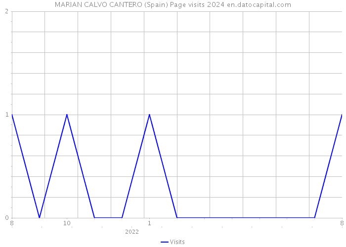 MARIAN CALVO CANTERO (Spain) Page visits 2024 