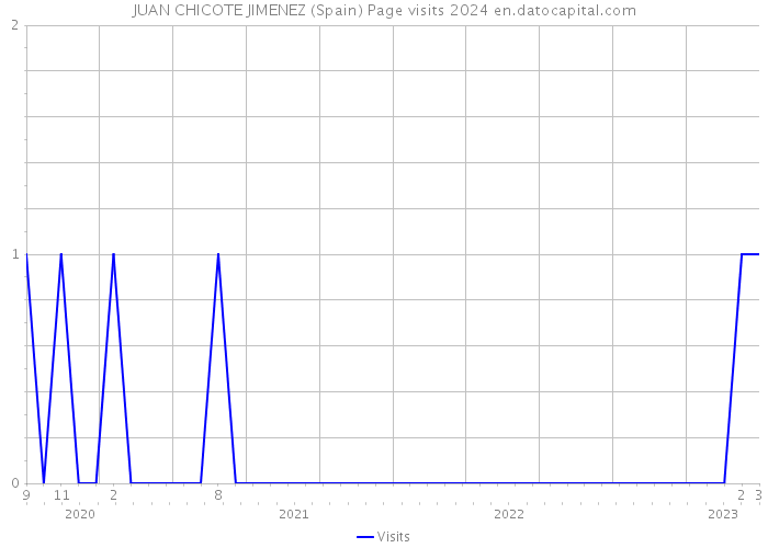 JUAN CHICOTE JIMENEZ (Spain) Page visits 2024 