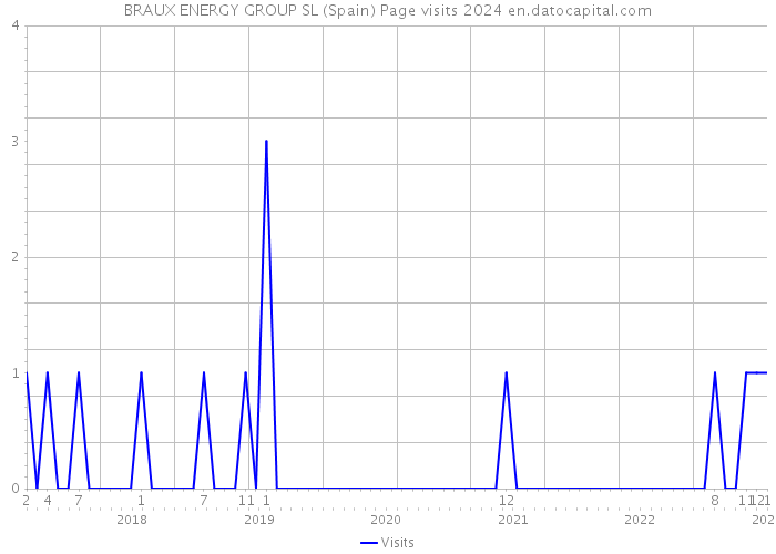 BRAUX ENERGY GROUP SL (Spain) Page visits 2024 