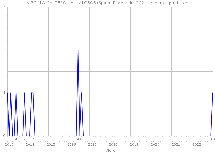 VIRGINIA CALDERON VILLALOBOS (Spain) Page visits 2024 