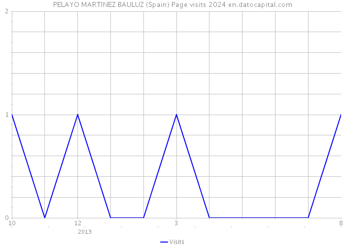 PELAYO MARTINEZ BAULUZ (Spain) Page visits 2024 