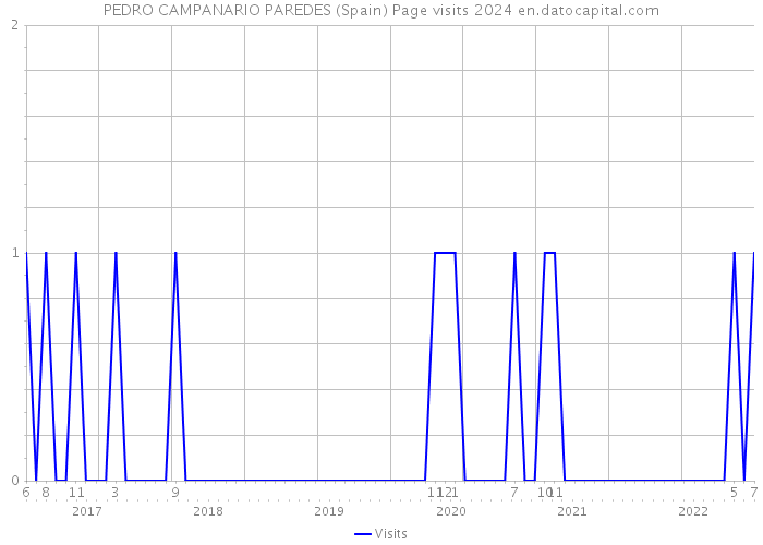 PEDRO CAMPANARIO PAREDES (Spain) Page visits 2024 