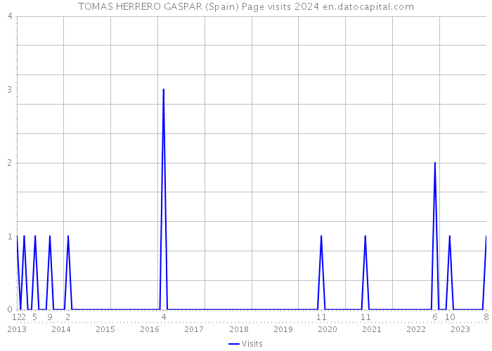 TOMAS HERRERO GASPAR (Spain) Page visits 2024 