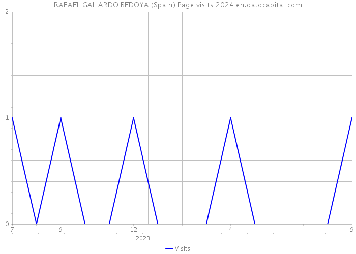 RAFAEL GALIARDO BEDOYA (Spain) Page visits 2024 