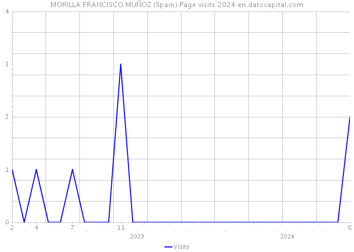 MORILLA FRANCISCO MUÑOZ (Spain) Page visits 2024 