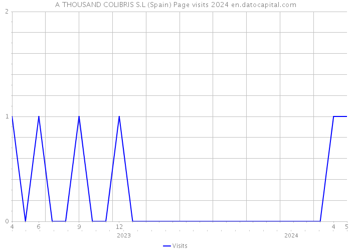 A THOUSAND COLIBRIS S.L (Spain) Page visits 2024 