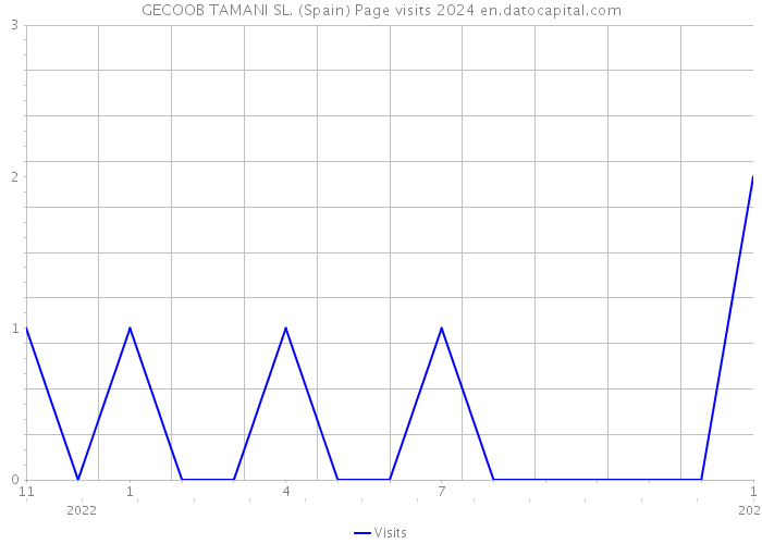 GECOOB TAMANI SL. (Spain) Page visits 2024 