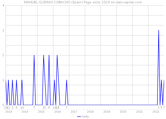 MANUEL GUZMAN COBACHO (Spain) Page visits 2024 