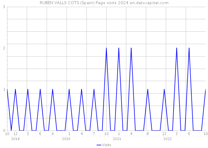 RUBEN VALLS COTS (Spain) Page visits 2024 