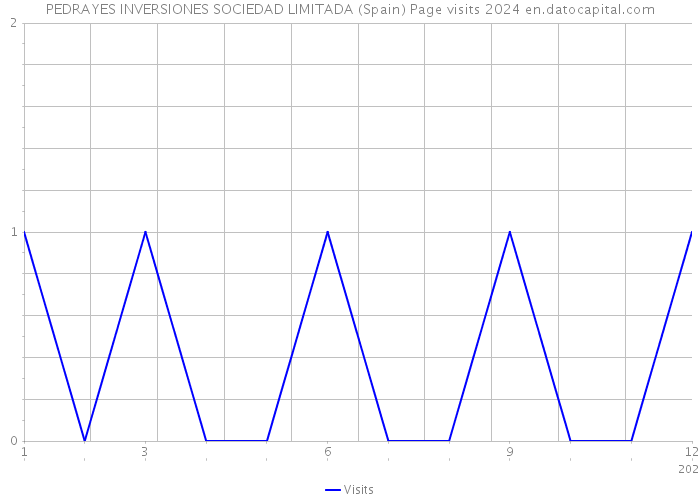 PEDRAYES INVERSIONES SOCIEDAD LIMITADA (Spain) Page visits 2024 