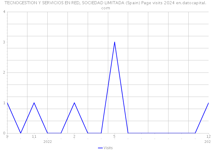 TECNOGESTION Y SERVICIOS EN RED, SOCIEDAD LIMITADA (Spain) Page visits 2024 