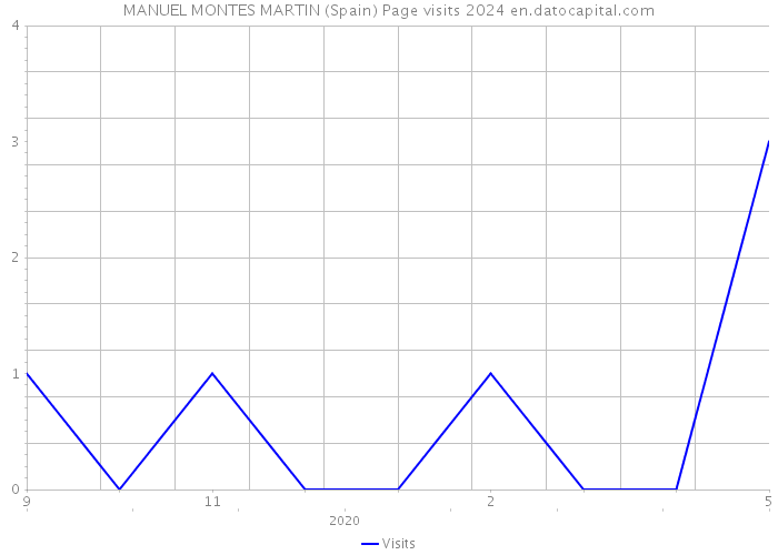 MANUEL MONTES MARTIN (Spain) Page visits 2024 