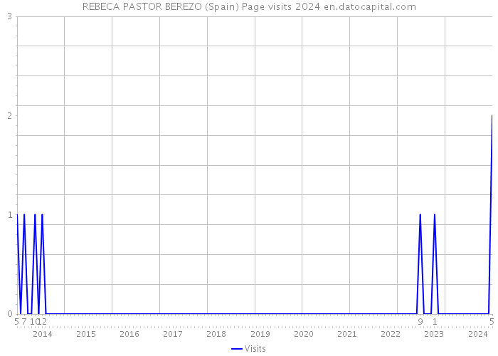 REBECA PASTOR BEREZO (Spain) Page visits 2024 