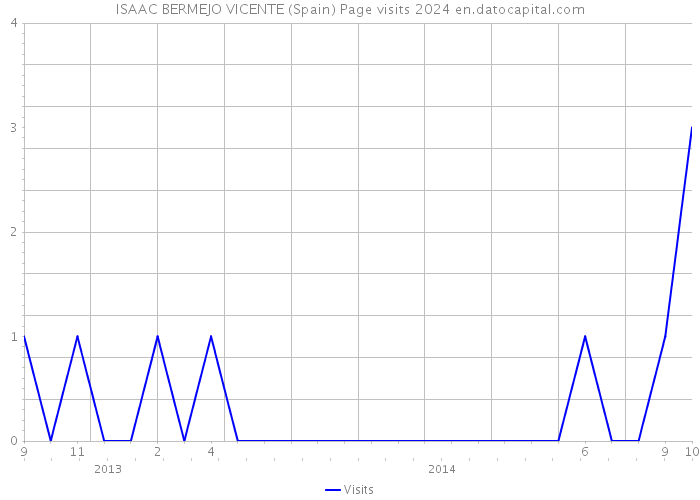 ISAAC BERMEJO VICENTE (Spain) Page visits 2024 