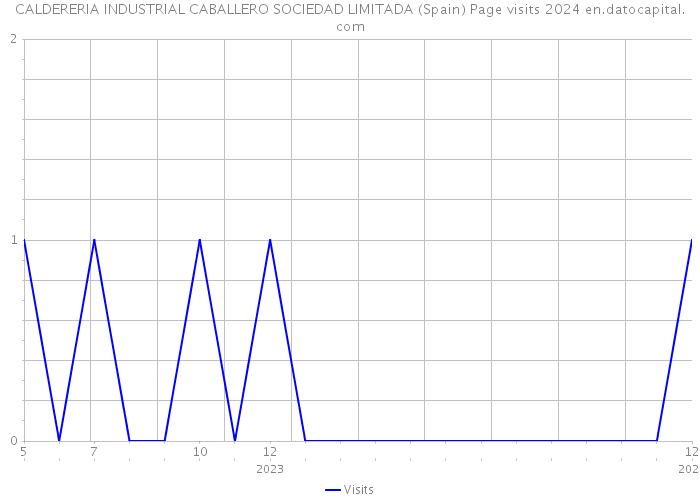 CALDERERIA INDUSTRIAL CABALLERO SOCIEDAD LIMITADA (Spain) Page visits 2024 