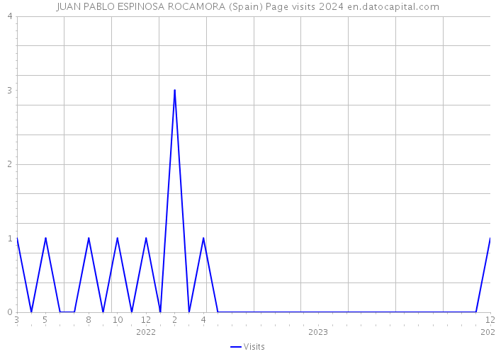 JUAN PABLO ESPINOSA ROCAMORA (Spain) Page visits 2024 