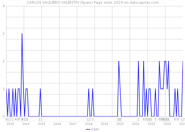 CARLOS VAQUERO VALENTIN (Spain) Page visits 2024 