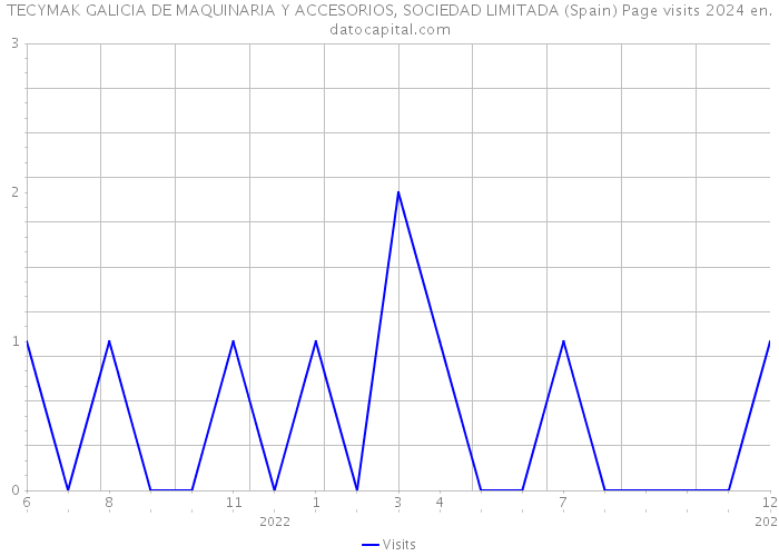 TECYMAK GALICIA DE MAQUINARIA Y ACCESORIOS, SOCIEDAD LIMITADA (Spain) Page visits 2024 