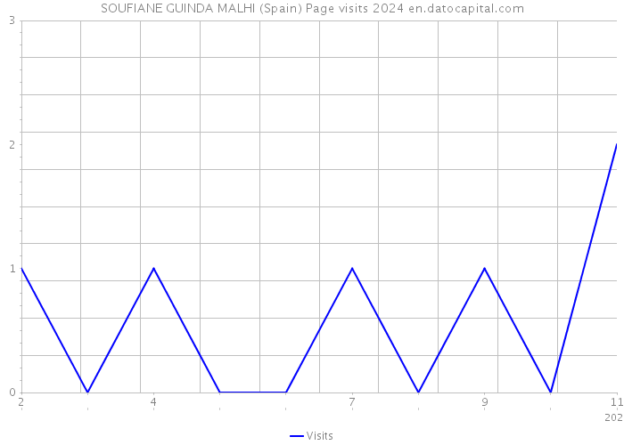 SOUFIANE GUINDA MALHI (Spain) Page visits 2024 