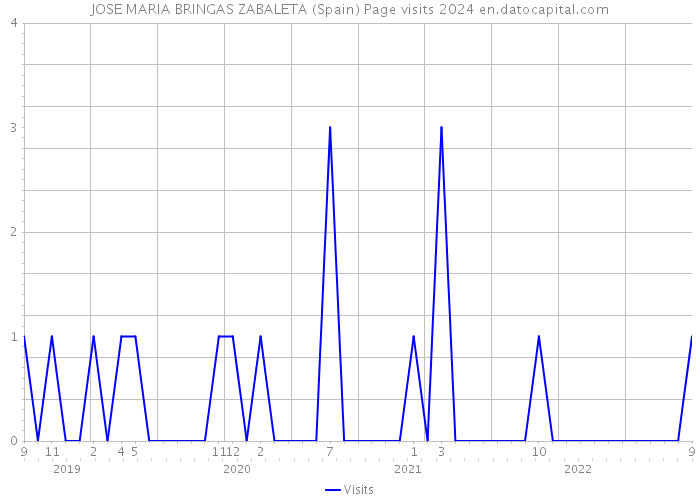 JOSE MARIA BRINGAS ZABALETA (Spain) Page visits 2024 