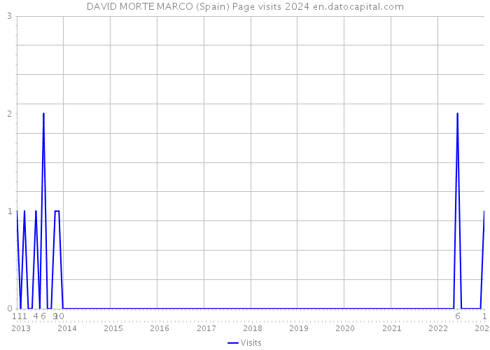 DAVID MORTE MARCO (Spain) Page visits 2024 