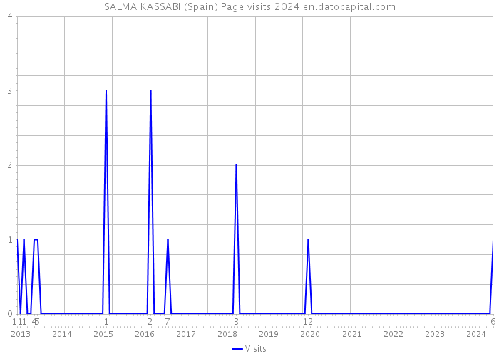 SALMA KASSABI (Spain) Page visits 2024 