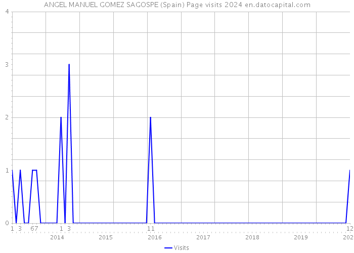 ANGEL MANUEL GOMEZ SAGOSPE (Spain) Page visits 2024 