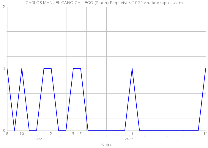 CARLOS MANUEL CANO GALLEGO (Spain) Page visits 2024 