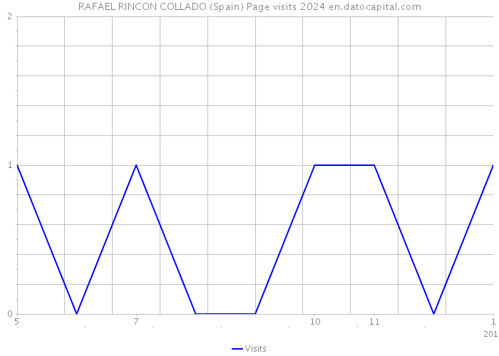 RAFAEL RINCON COLLADO (Spain) Page visits 2024 