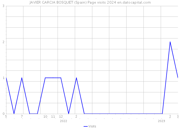 JAVIER GARCIA BOSQUET (Spain) Page visits 2024 