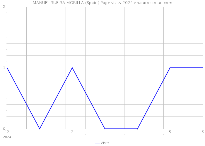 MANUEL RUBIRA MORILLA (Spain) Page visits 2024 