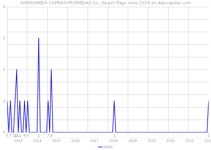 ANDROMEDA CAPMAN PROPIEDAD S.L. (Spain) Page visits 2024 