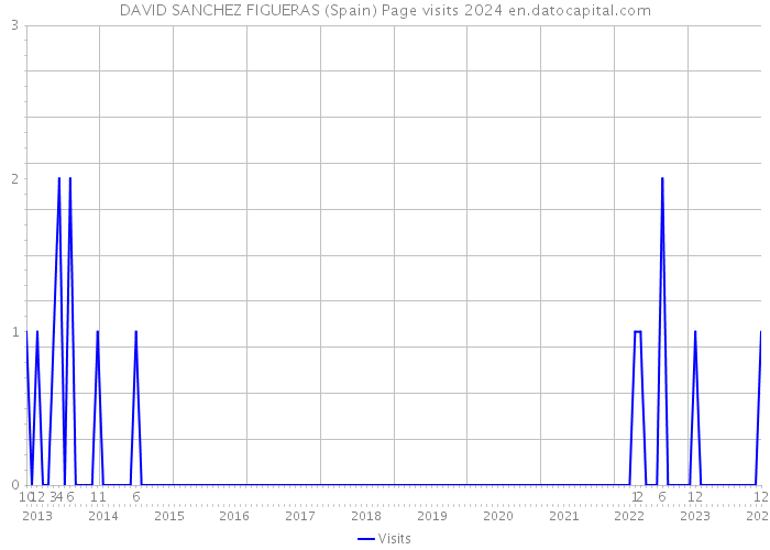 DAVID SANCHEZ FIGUERAS (Spain) Page visits 2024 