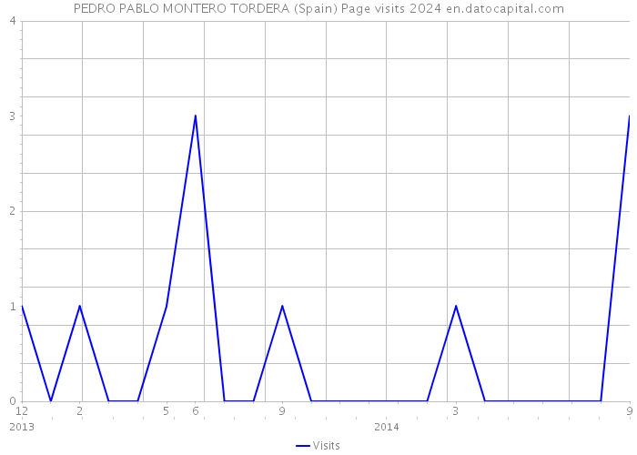 PEDRO PABLO MONTERO TORDERA (Spain) Page visits 2024 