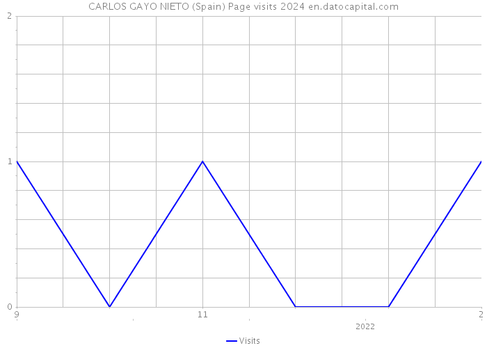 CARLOS GAYO NIETO (Spain) Page visits 2024 