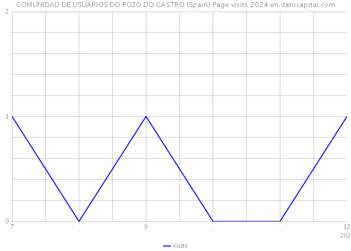 COMUNIDAD DE USUARIOS DO POZO DO CASTRO (Spain) Page visits 2024 