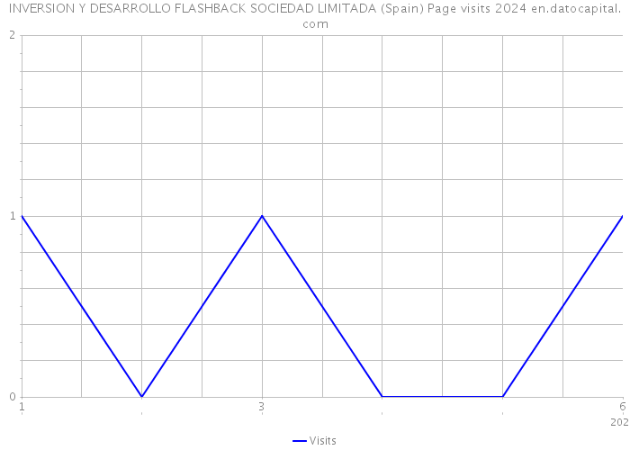 INVERSION Y DESARROLLO FLASHBACK SOCIEDAD LIMITADA (Spain) Page visits 2024 