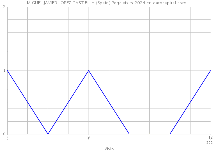 MIGUEL JAVIER LOPEZ CASTIELLA (Spain) Page visits 2024 
