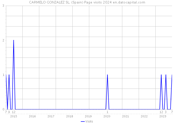 CARMELO GONZALEZ SL. (Spain) Page visits 2024 