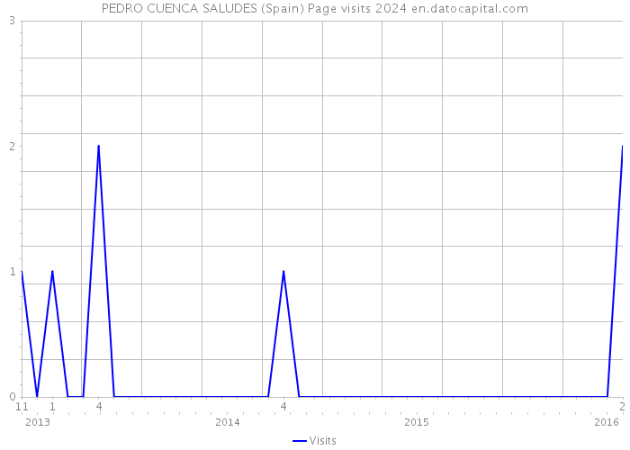 PEDRO CUENCA SALUDES (Spain) Page visits 2024 