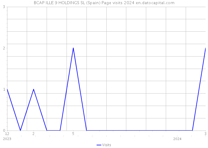 BCAP ILLE 9 HOLDINGS SL (Spain) Page visits 2024 