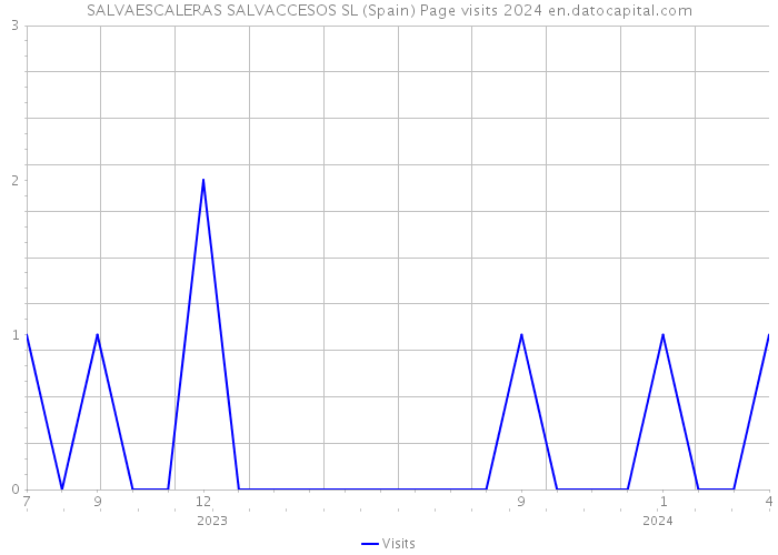 SALVAESCALERAS SALVACCESOS SL (Spain) Page visits 2024 