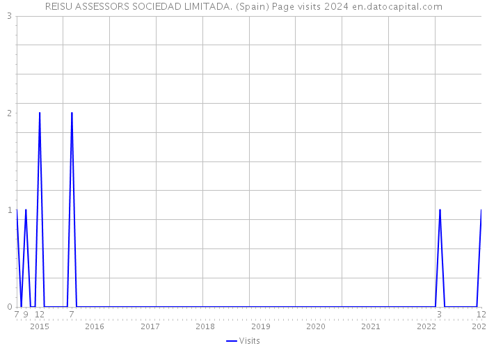 REISU ASSESSORS SOCIEDAD LIMITADA. (Spain) Page visits 2024 