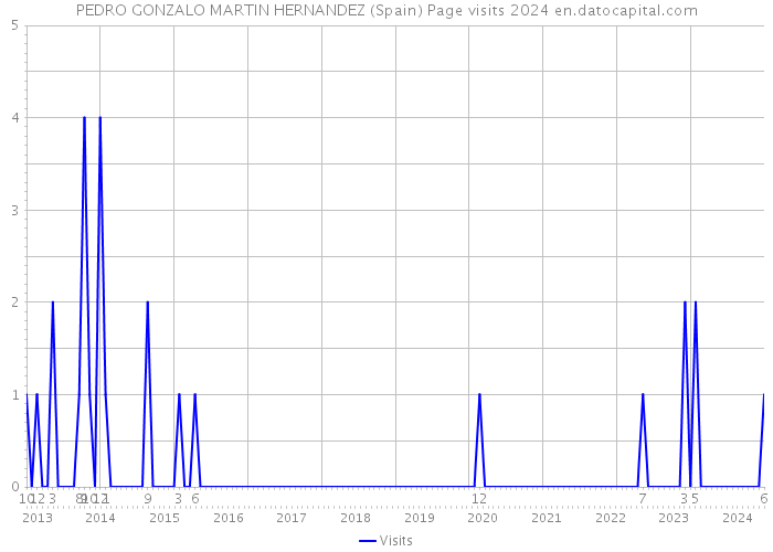 PEDRO GONZALO MARTIN HERNANDEZ (Spain) Page visits 2024 