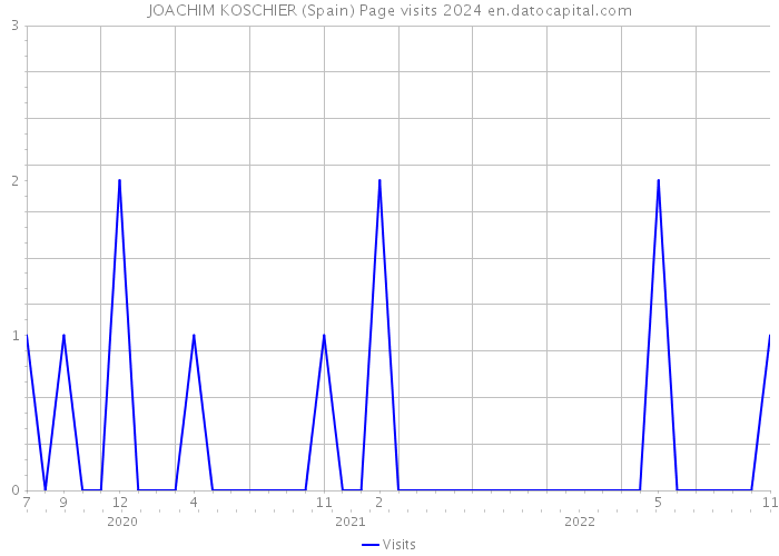 JOACHIM KOSCHIER (Spain) Page visits 2024 