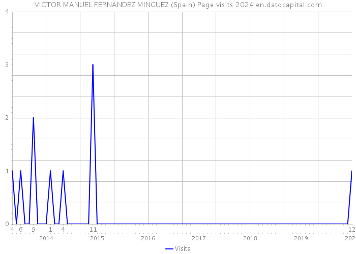 VICTOR MANUEL FERNANDEZ MINGUEZ (Spain) Page visits 2024 