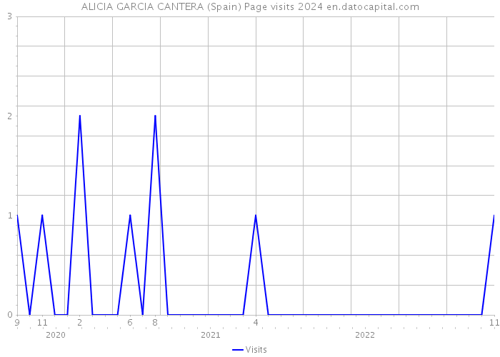 ALICIA GARCIA CANTERA (Spain) Page visits 2024 