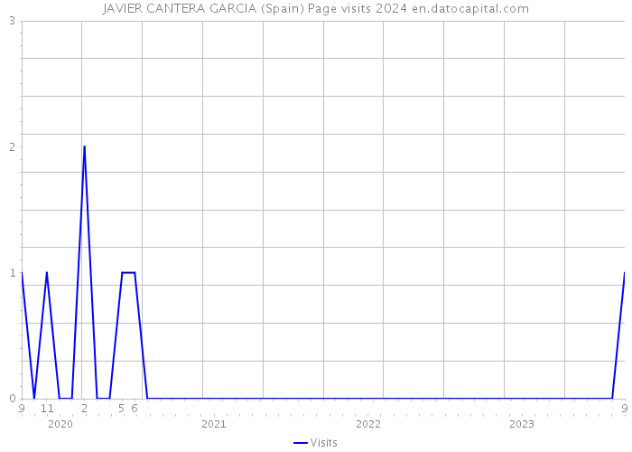 JAVIER CANTERA GARCIA (Spain) Page visits 2024 