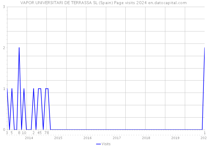 VAPOR UNIVERSITARI DE TERRASSA SL (Spain) Page visits 2024 